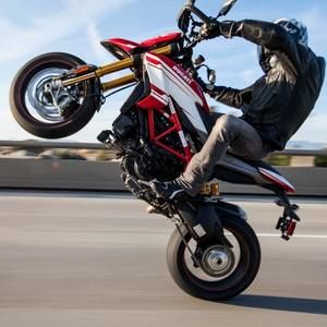 Meet your Posher, Rylee